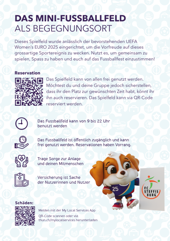 Mini Fussballfeld Steffisburg Flyer