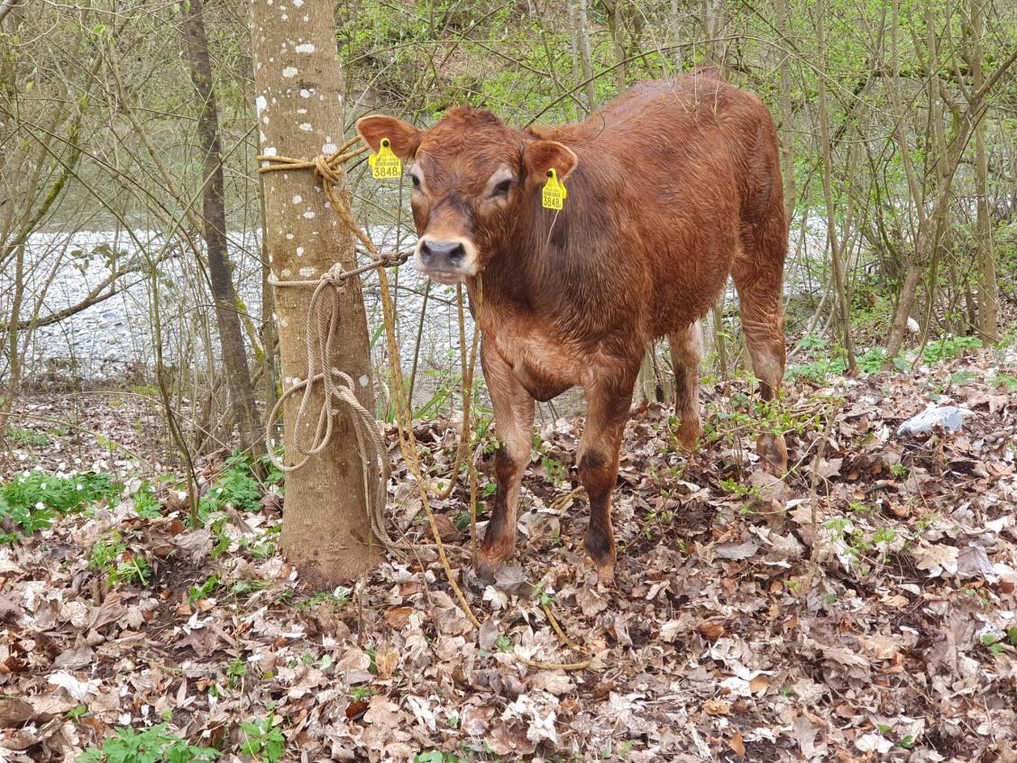 Nr. 26: Hilfeleistung