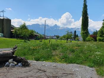Erfolgskontrolle Wildbienen