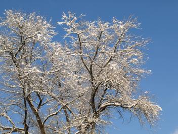 Öffnungszeiten am 12. Dezember 2025