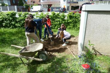 Nebst artenreichen Blumenwiesen entsteht auf dem Areal des Schulhauses Bernstrasse auch Lebensraum für bodenbrütende Wildbienen.