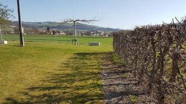 Die Fläche vor der Umgestaltung, Frühling 2021