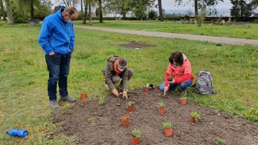 Die Teilnehmenden pflanzen Wildblumen, Frühling 2021
