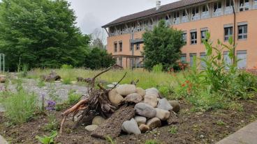 Gemeindegarten nach einem Jahr, Sommer 2024