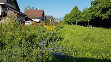 Mustergarten, Sommer 2022