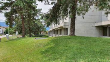 Rasenfläche vor der Umgestaltung, Sommer 2021