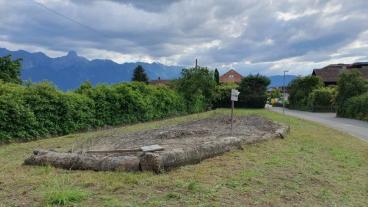 Sandlinse, Sommer 2024