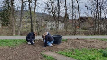 Schülerinnen und Schüler helfen bei der Bepflanzung, Frühling 2023
