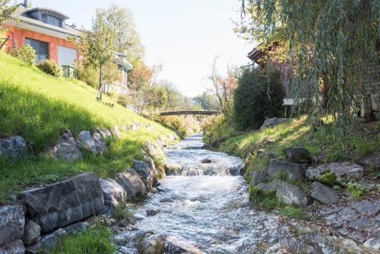 Blick auf den Mühlibach